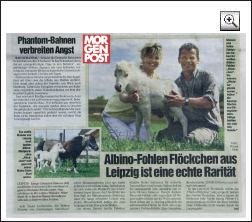 Minipferde Presse-Bericht Morgenpost Dresden/Sachsen - Albino Mini Pferd aus Leipzig - eine echte Rarität unter Pferdezüchtern